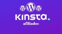 Afiliado digital Kinsta: saiba como esse programa funciona!